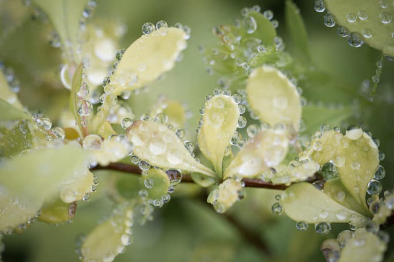 Along the Journey Hand Picked Faves