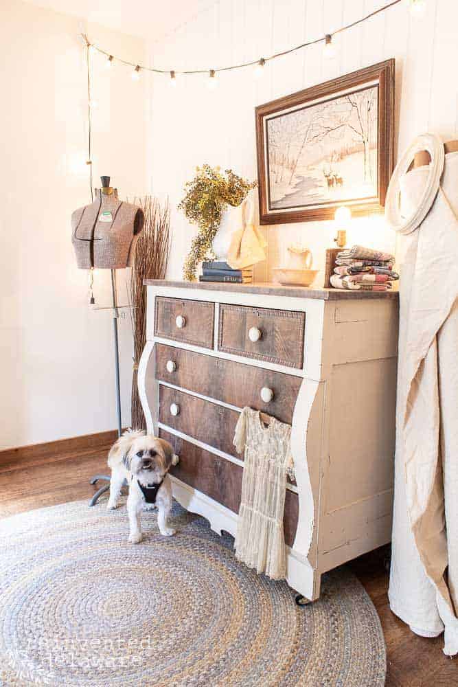 dresser makeover with cute dog in front of the dresser