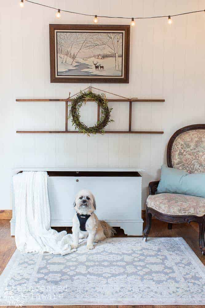 cute dog sitting in front of blanket chest used to teach how to prep furniture for painting in blog post