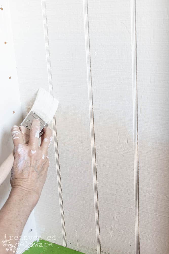 close up shot of lady painting pantry wall with Zibra paintbrush