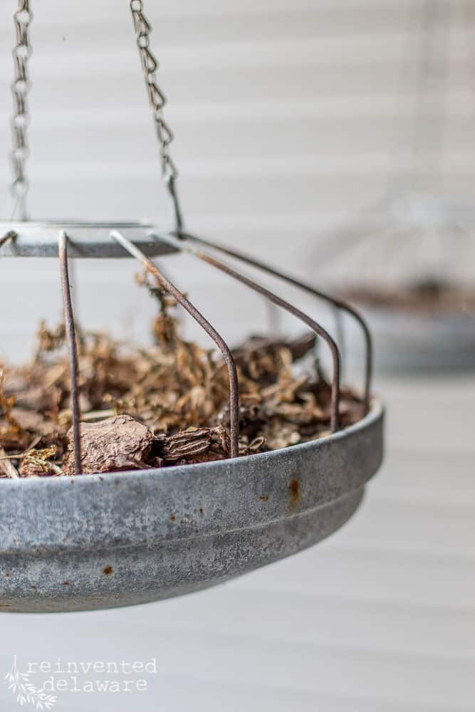 picture of a chicken feeded repurposed into a plant hanger