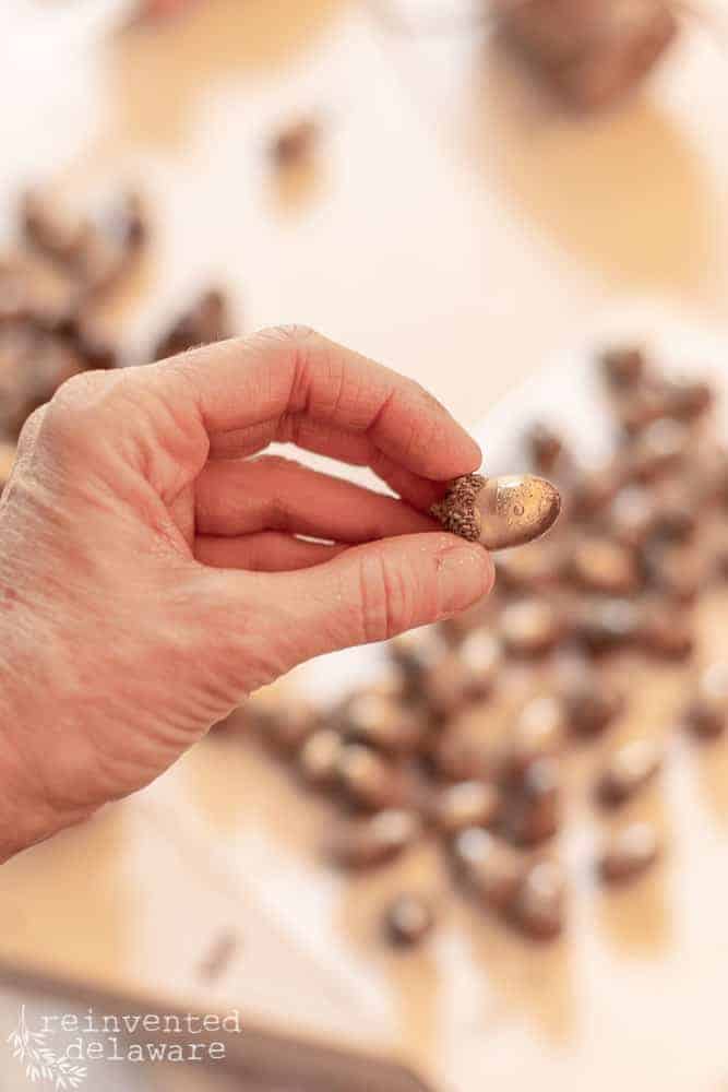 lady showing close-up of acorns dipped in gold spray paint with extra acorns in the background
