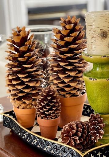 Pine cone Christmas trees sitting in clay pots and staged with a candle