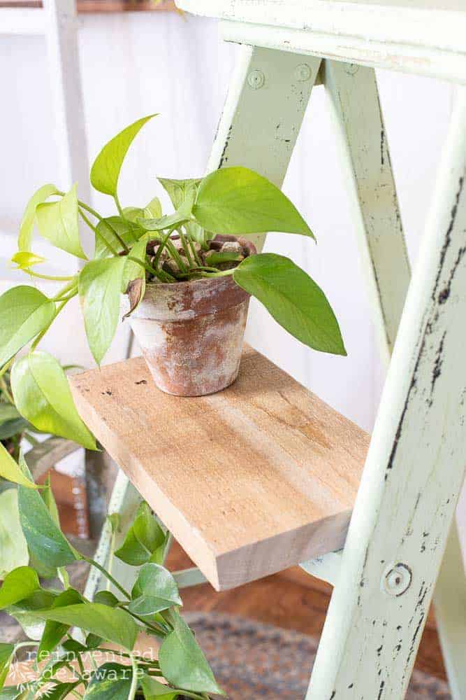 Close up of wood piece used to repair the broken step on a wooden step ladder with a plant on top.