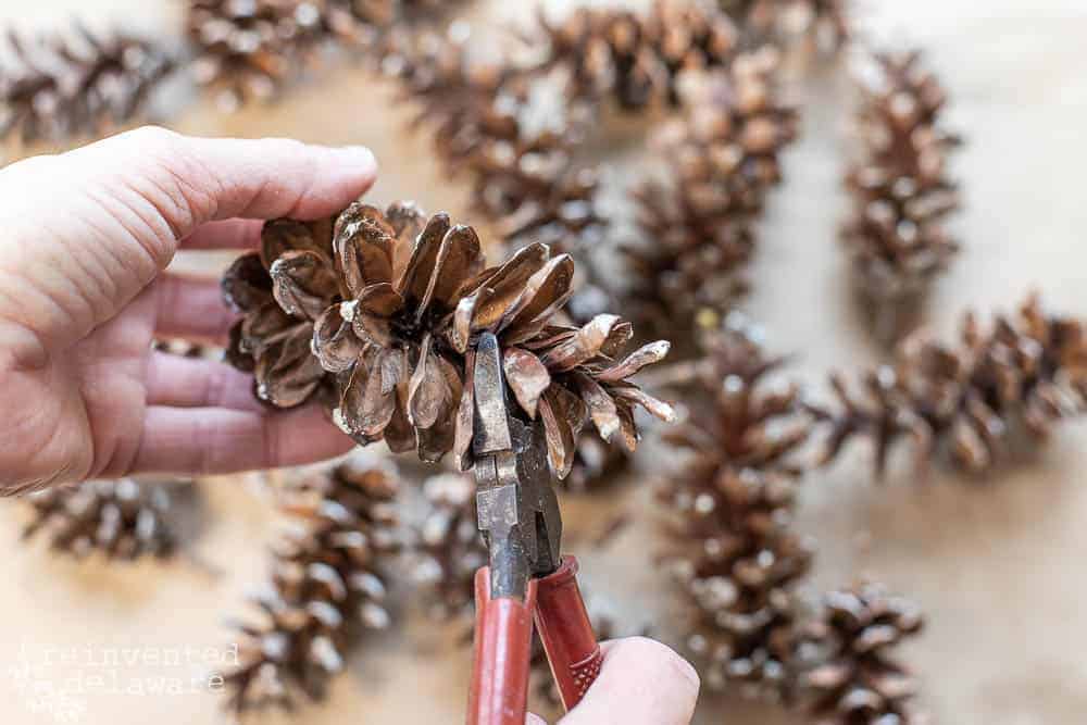 Close up of lady cutting a pine cone to make a pine cone floral arrangement.