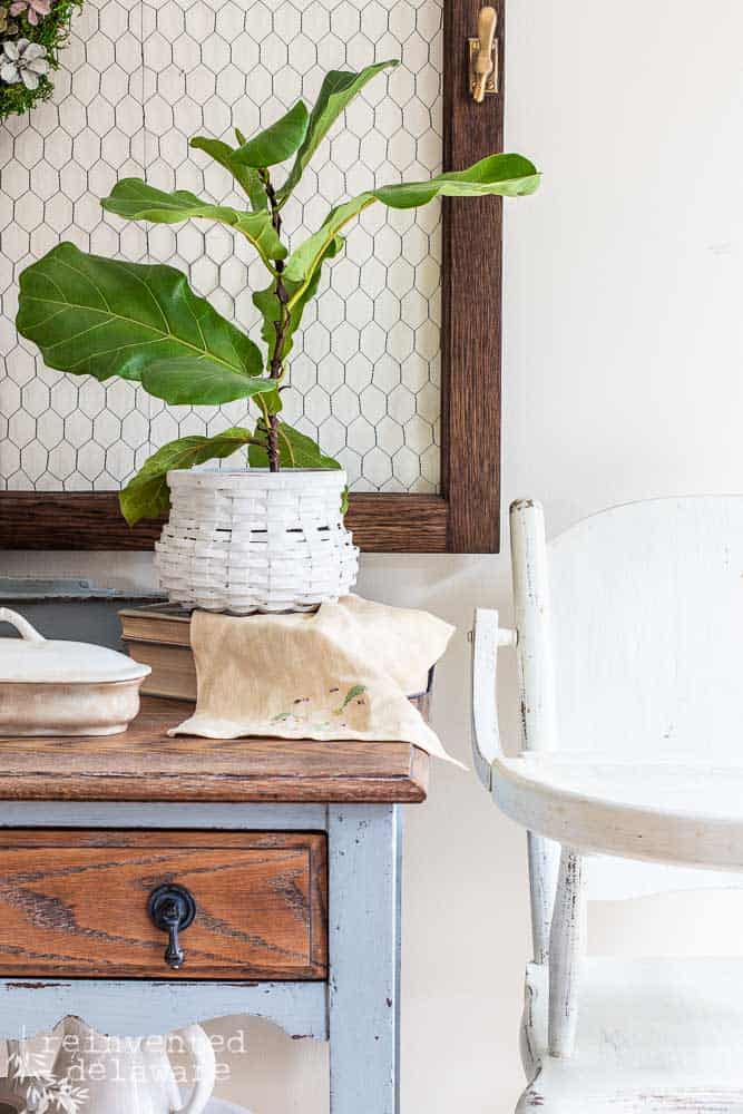 Painted Longaberger basket with a Fiddle plant inside painted in Ironstone milk paint by Miss Mustard Seed's milk paint.