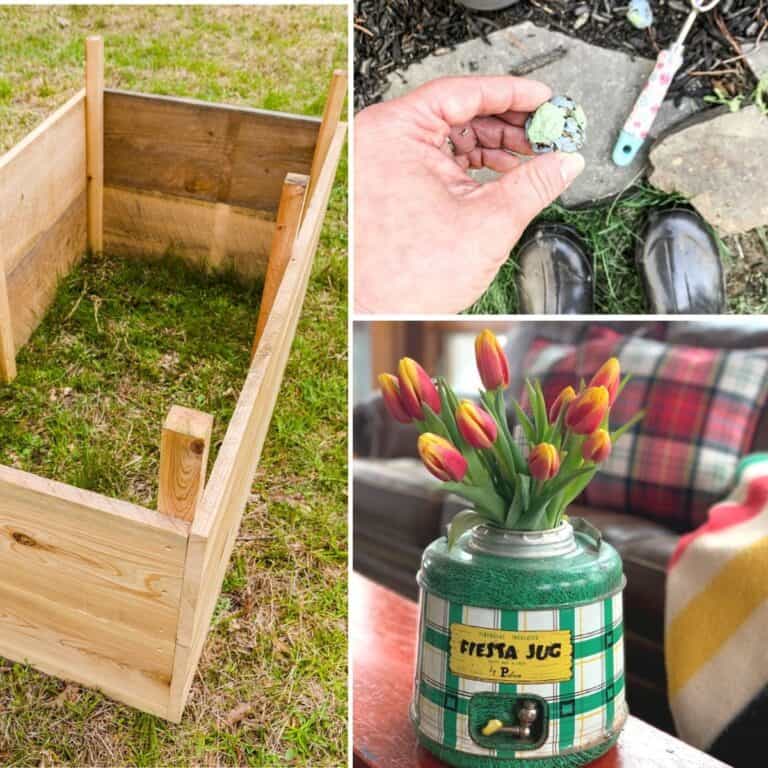 Collage of three images: raised garden bed, seed ball made from paper, fresh tulips in a vintage thermos.