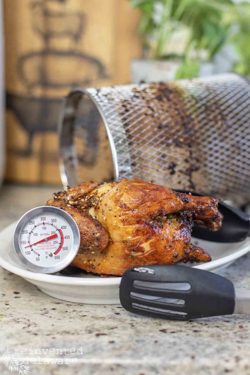 Easy Rotisserie Cornish Hen in an Air Fryer Reinvented Delaware