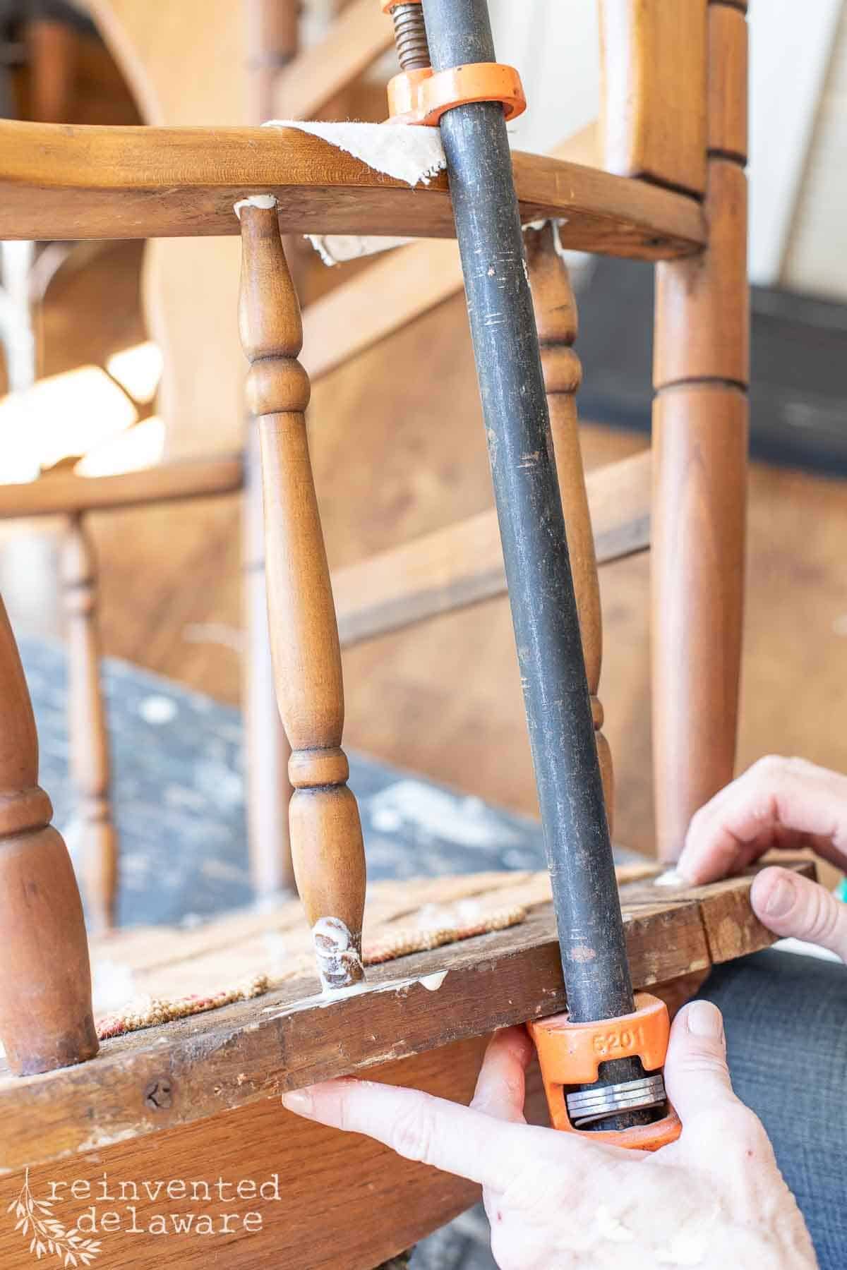 lady glueing and clamping an old piece of furniture