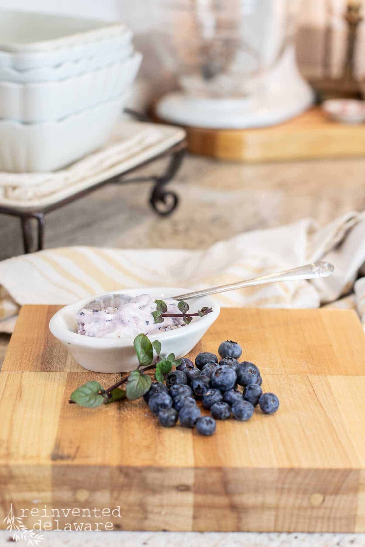 bowl of frozen blueberry yogurt in an ironstone dish with fresh blueberries
