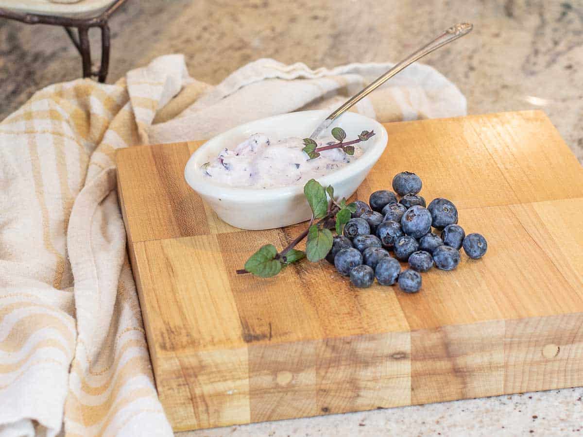 Easy Blueberry Frozen Yogurt Dessert – Sugar Free