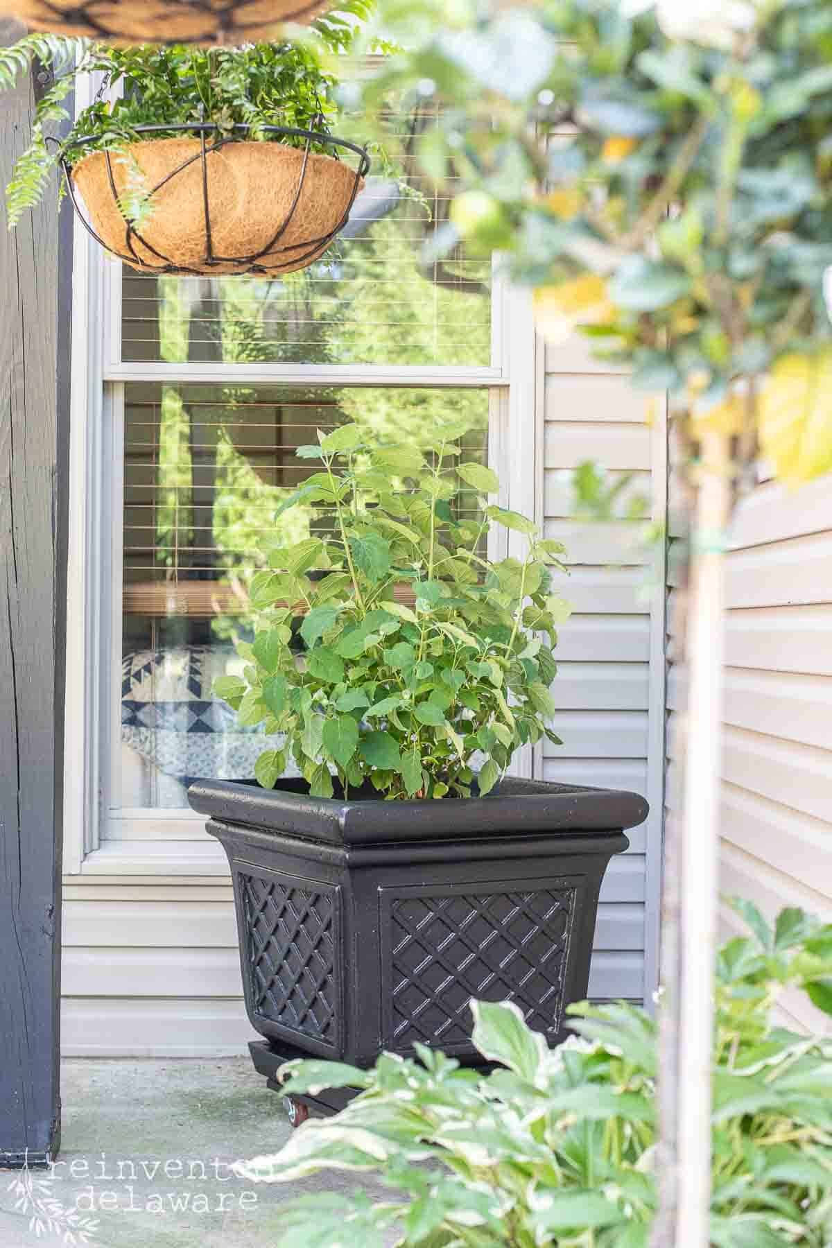 Quick and Easy $2 Transformation for Cheap Flower Pots