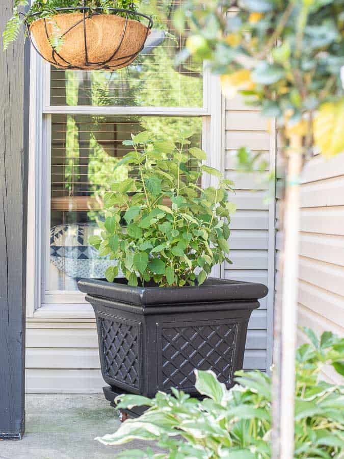 Ten Easy and Cheap DIY Ideas for Upcycled Patio Planters
