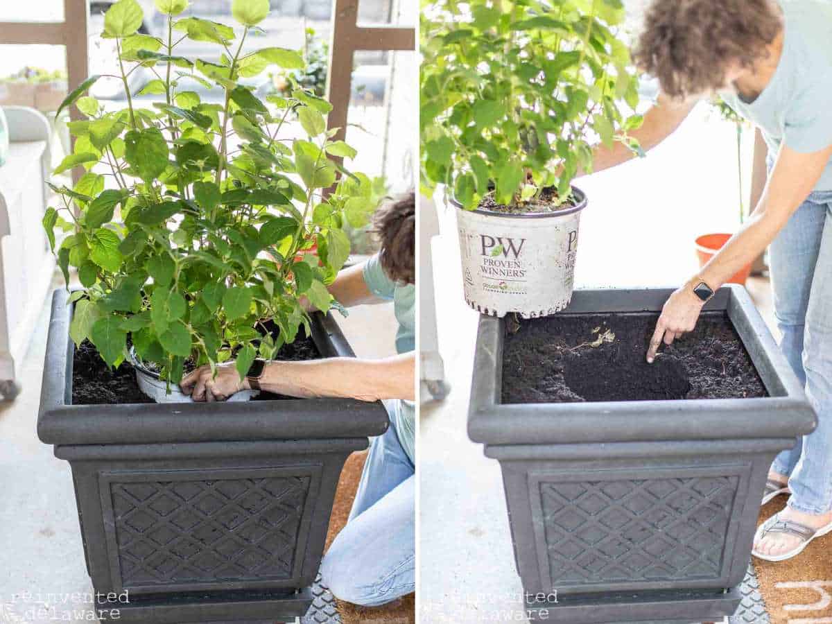lady showing how to plant a large potted plant in a large upcyled container garden