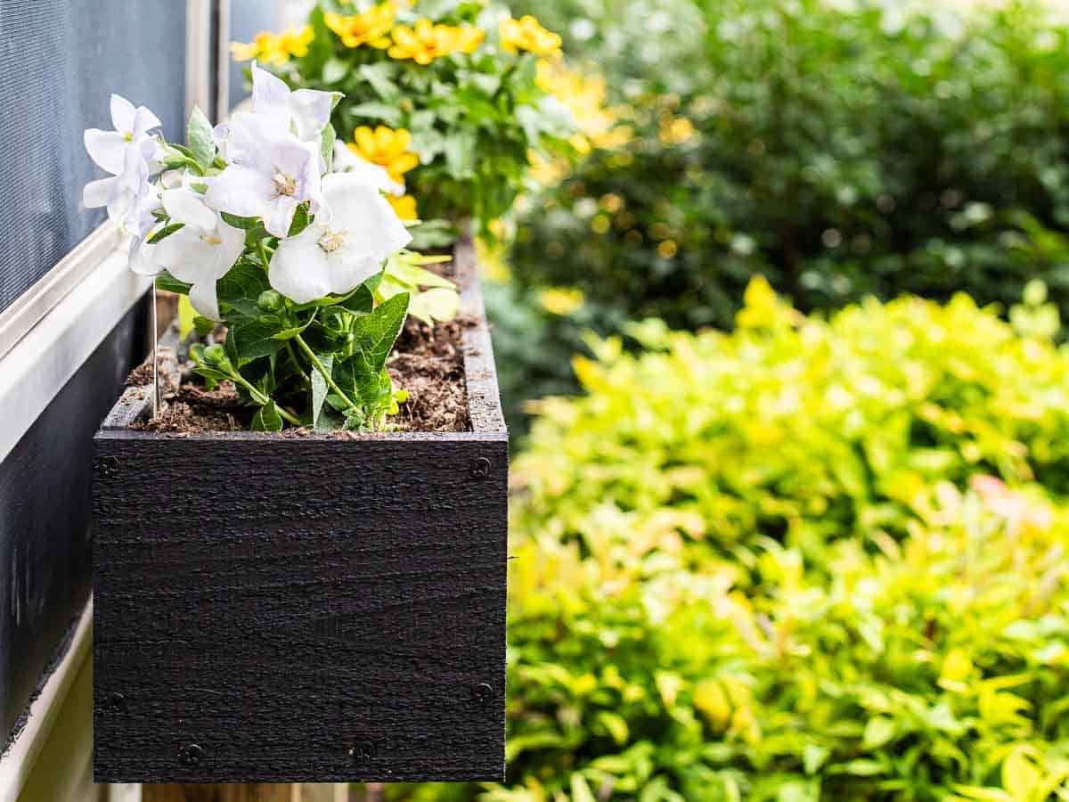 The Easiest DIY Window Planter Boxes made with Fence Boards