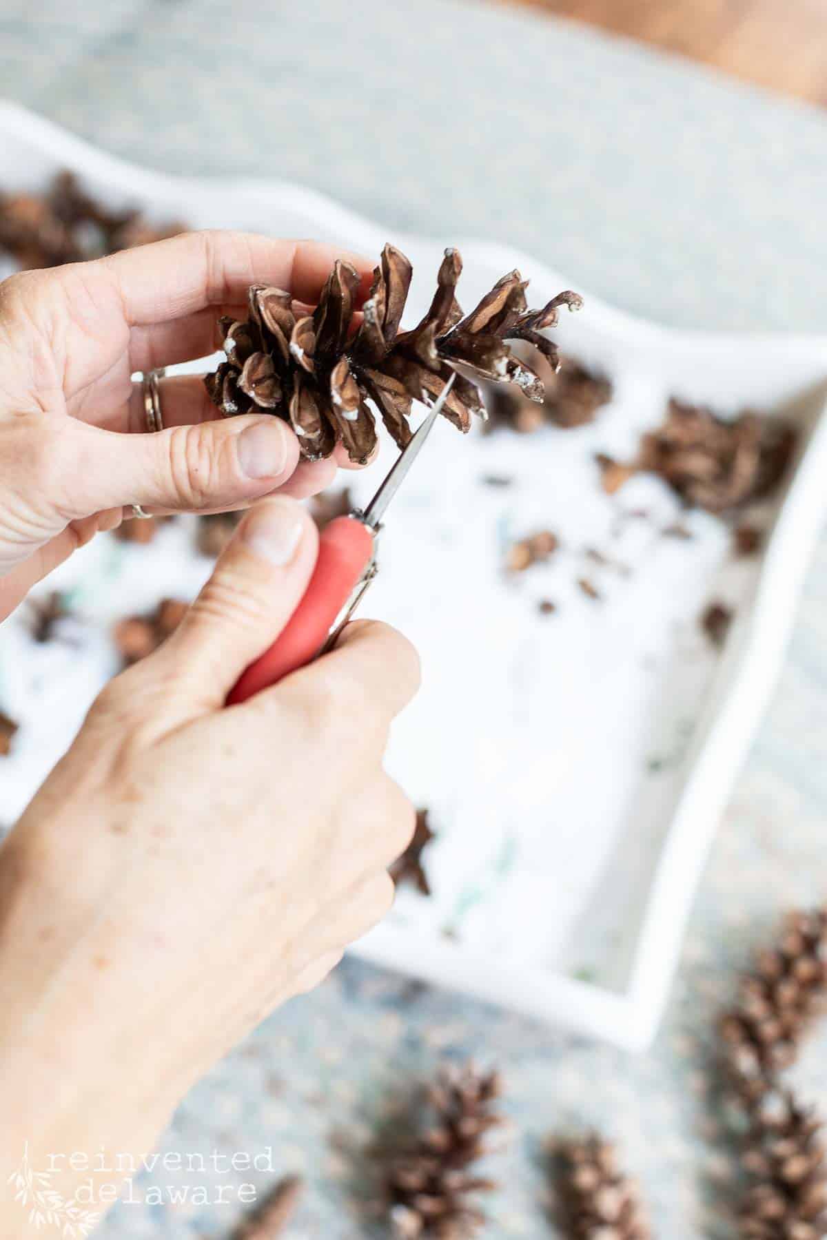 How to Make a Simple and Beautiful DIY Pinecone Wreath Reinvented