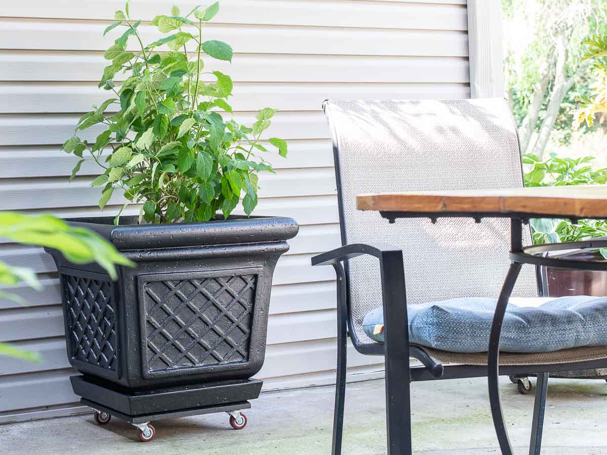 A patio table with chairs and a plant in a planter