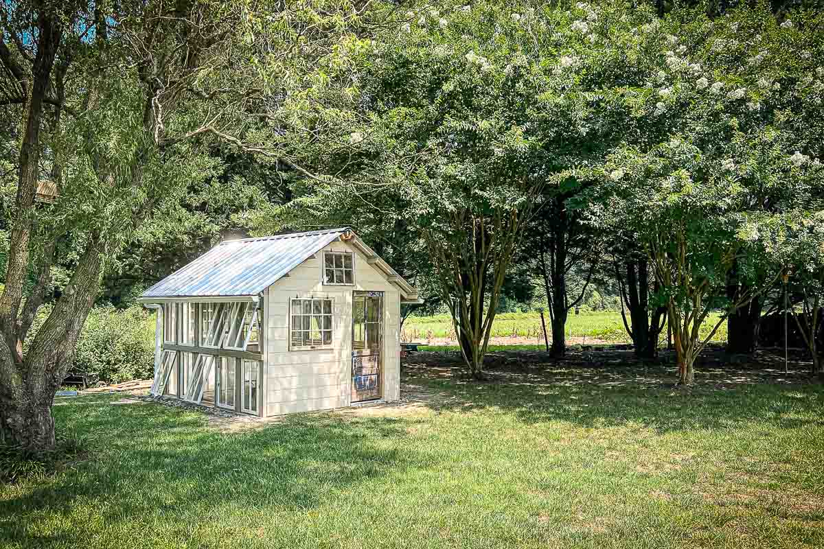 A small wooden greenhouse with a metal roof stands in a lush garden surrounded by tall trees. The greenhouse features multiple windows, allowing ample sunlight to enter. The grass is green and well-maintained, and the scene appears peaceful and serene.