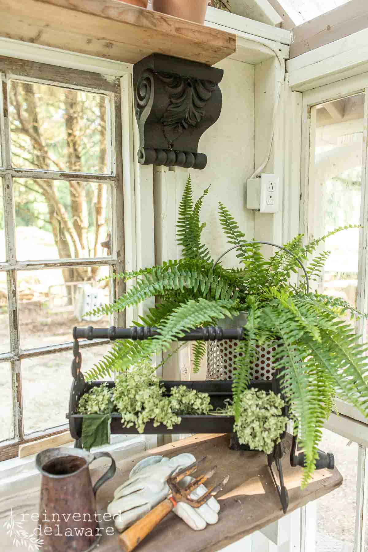 A wooden shelf in a sunlit garden shed displays a lush fern in a metal pot, an antique iron trivet, and a small copper pitcher. Below, garden gloves and tools rest on the surface. Large vintage windows and an ornate black corbel enhance the rustic decor.