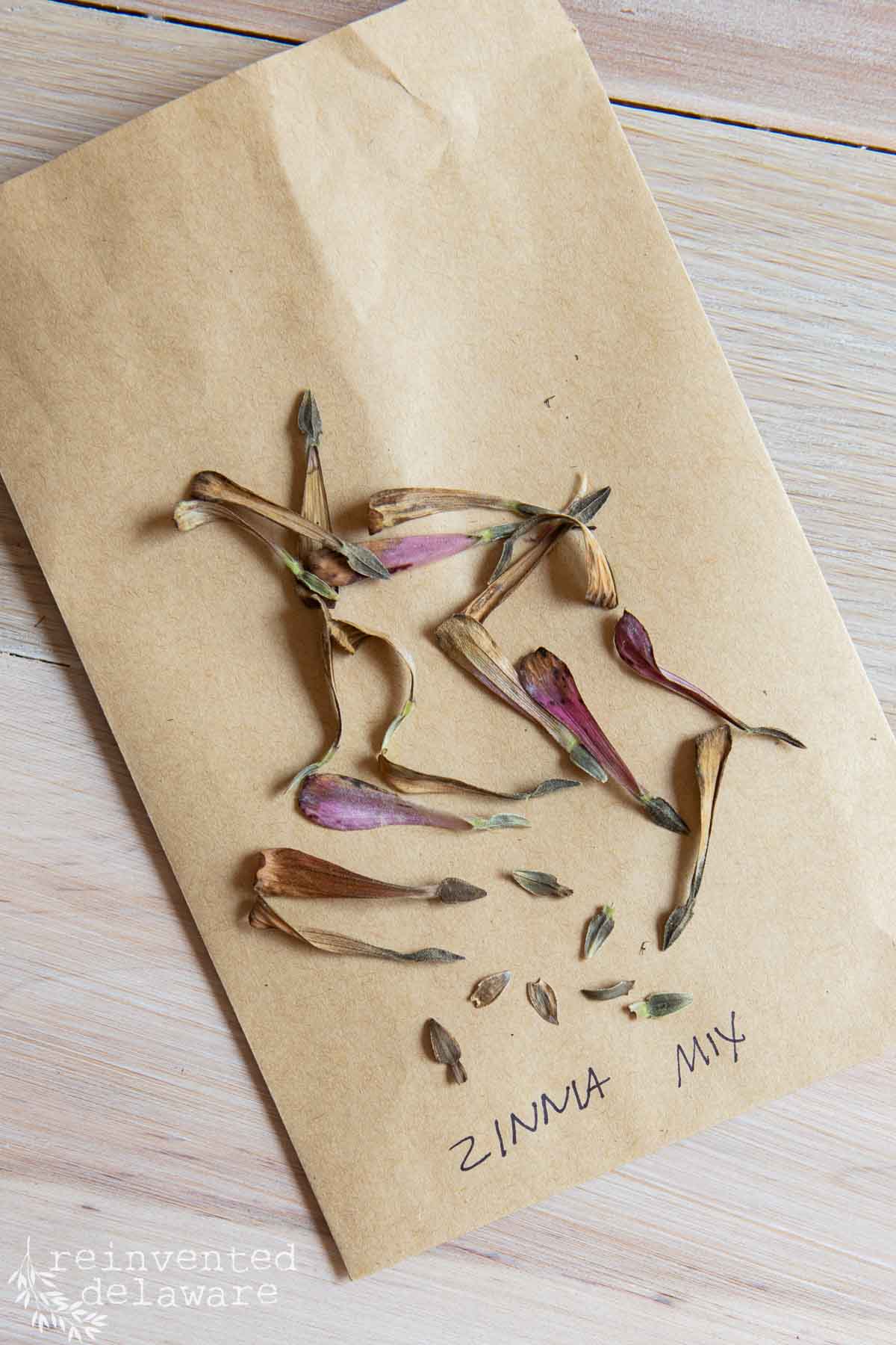 A brown paper envelope labeled "ZINNIA MIX" on a wooden surface, with dried zinnia petals and small seeds scattered around. The envelope has a rustic and handmade appearance.