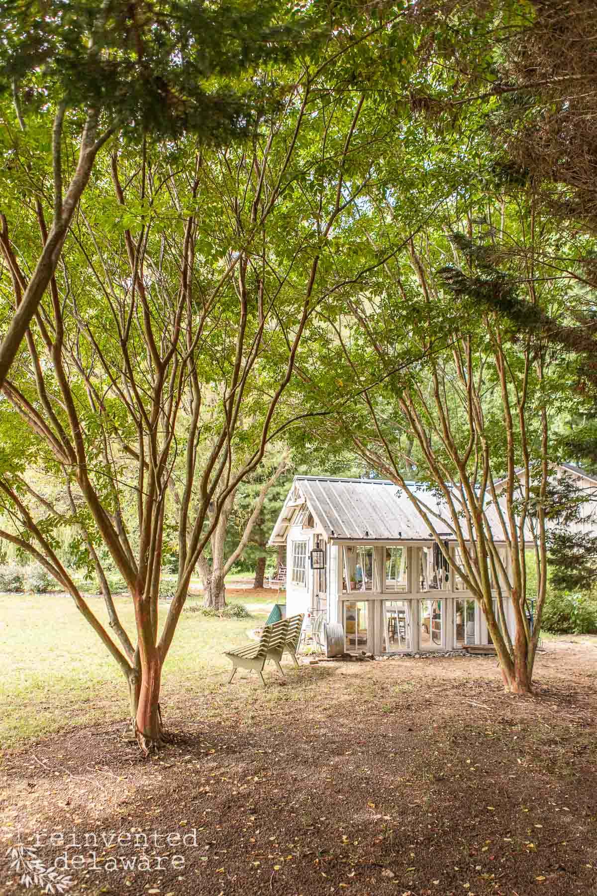 A small glass greenhouse stands amidst tall trees in a serene garden. A green bench is placed beside the greenhouse, inviting relaxation. The surrounding foliage creates a peaceful, shaded area. The ground is covered in brown leaves and patches of grass.