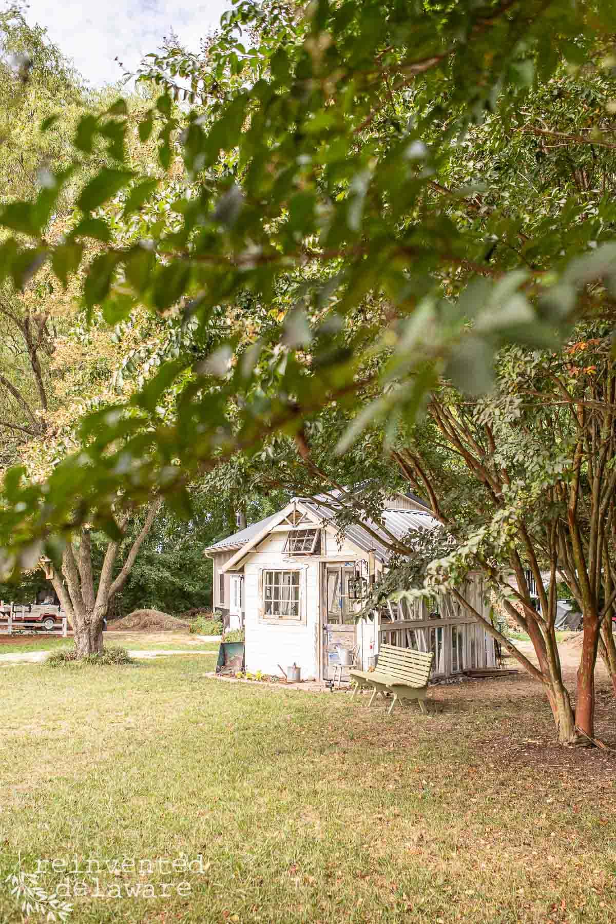 A small, white wooden shed with a tin roof is nestled among trees on a grassy lawn. A green garden swing sits in front of the shed. Sunlight filters through the thick foliage, casting dappled shadows on the ground. In the background, there's a glimpse of a fence and more trees.