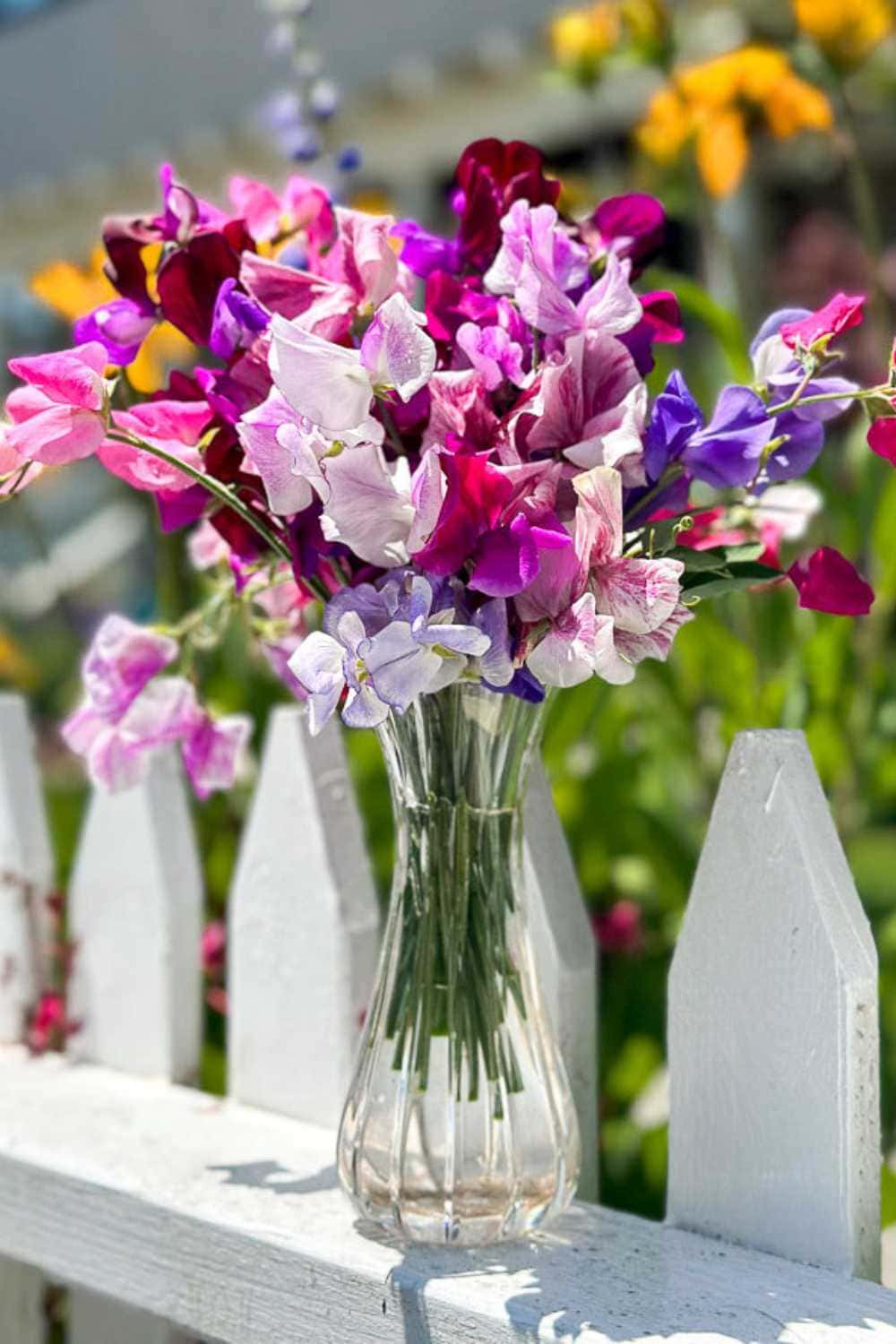 A clear glass vase holds a vibrant bouquet of pink, purple, and white flowers, set against a bright outdoor backdrop with a white picket fence