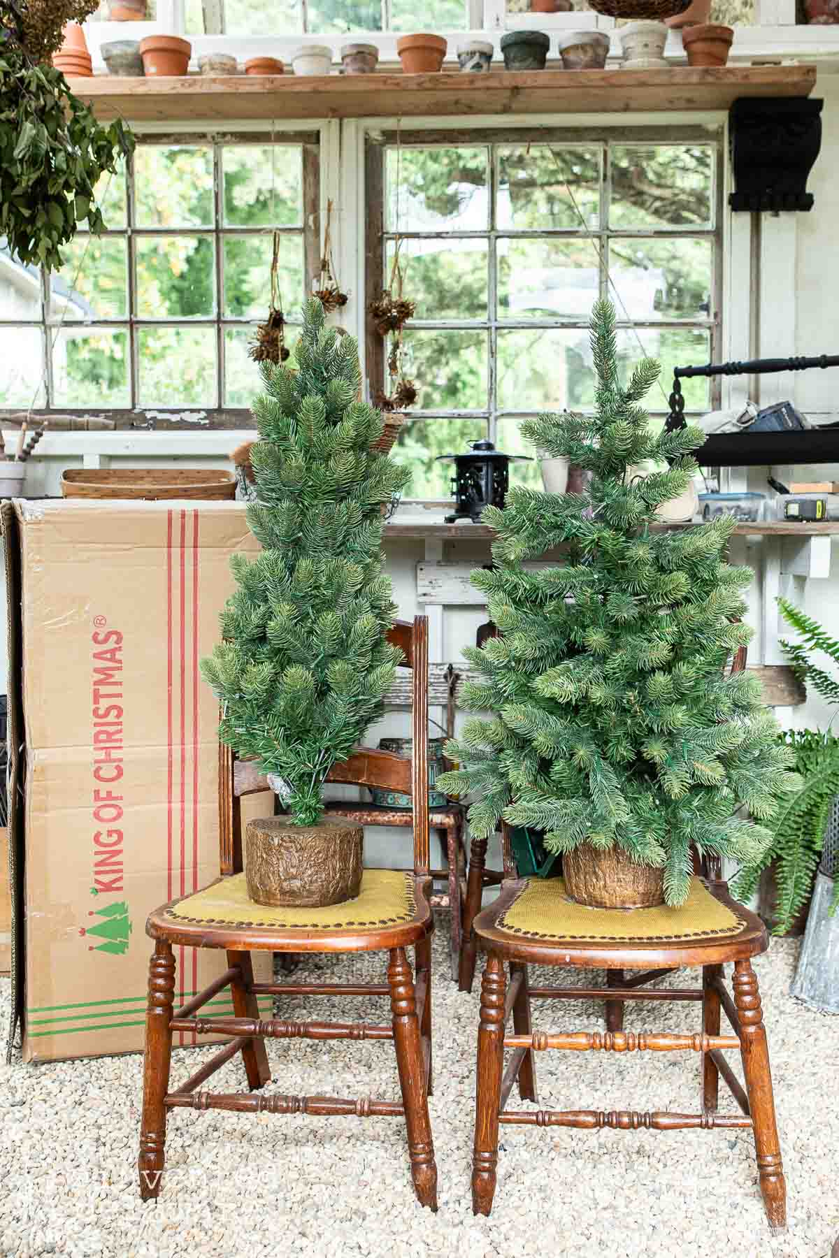 Two small artificial Christmas trees in brown pots sit on wooden chairs in a rustic room. A large cardboard box labeled "King of Christmas" stands nearby. The background features a wall with windows and assorted potted plants.