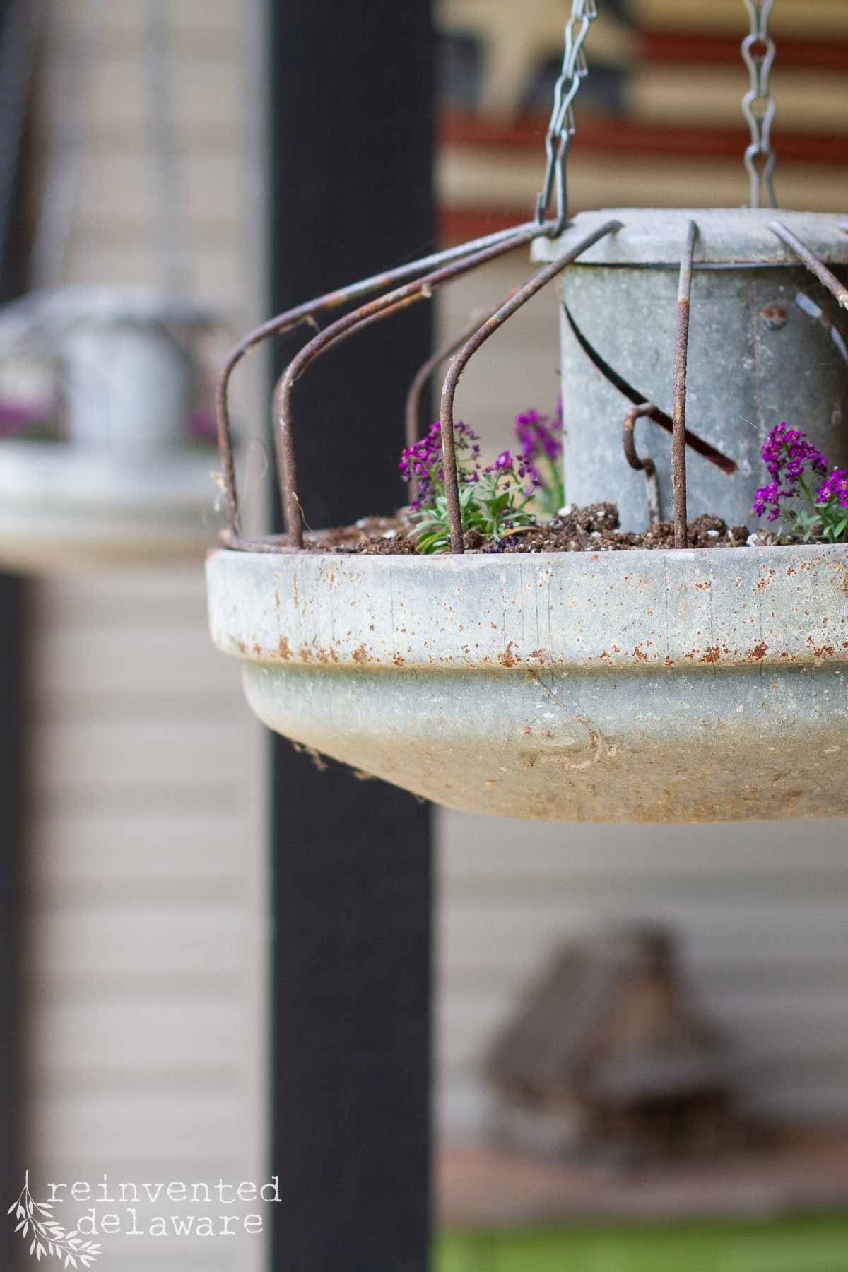 Close-up of a rustic hanging planter made from an old metal farmhouse chicken feeder, filled with soil and small purple flowers. The background is softly blurred, showing hints of outdoor decor and wooden siding.