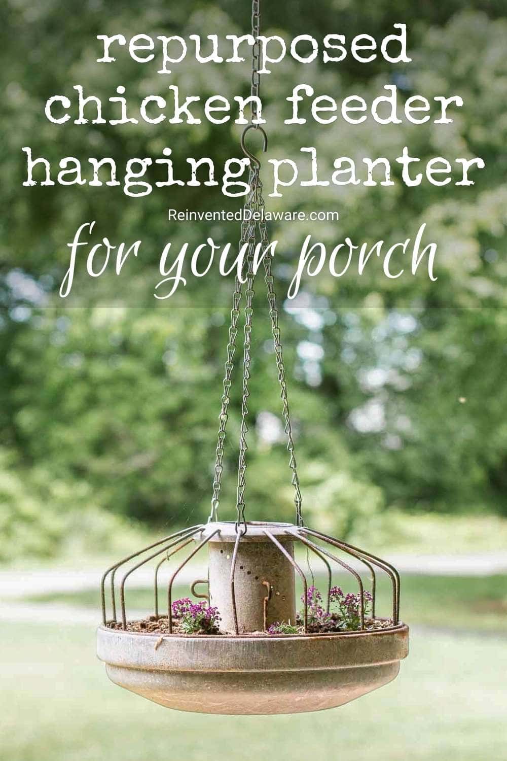 A hanging planter made from a repurposed chicken feeder contains small flowering plants. It hangs outdoors against a backdrop of greenery. Text on the image reads: "repurposed chicken feeder hanging planter for your porch.