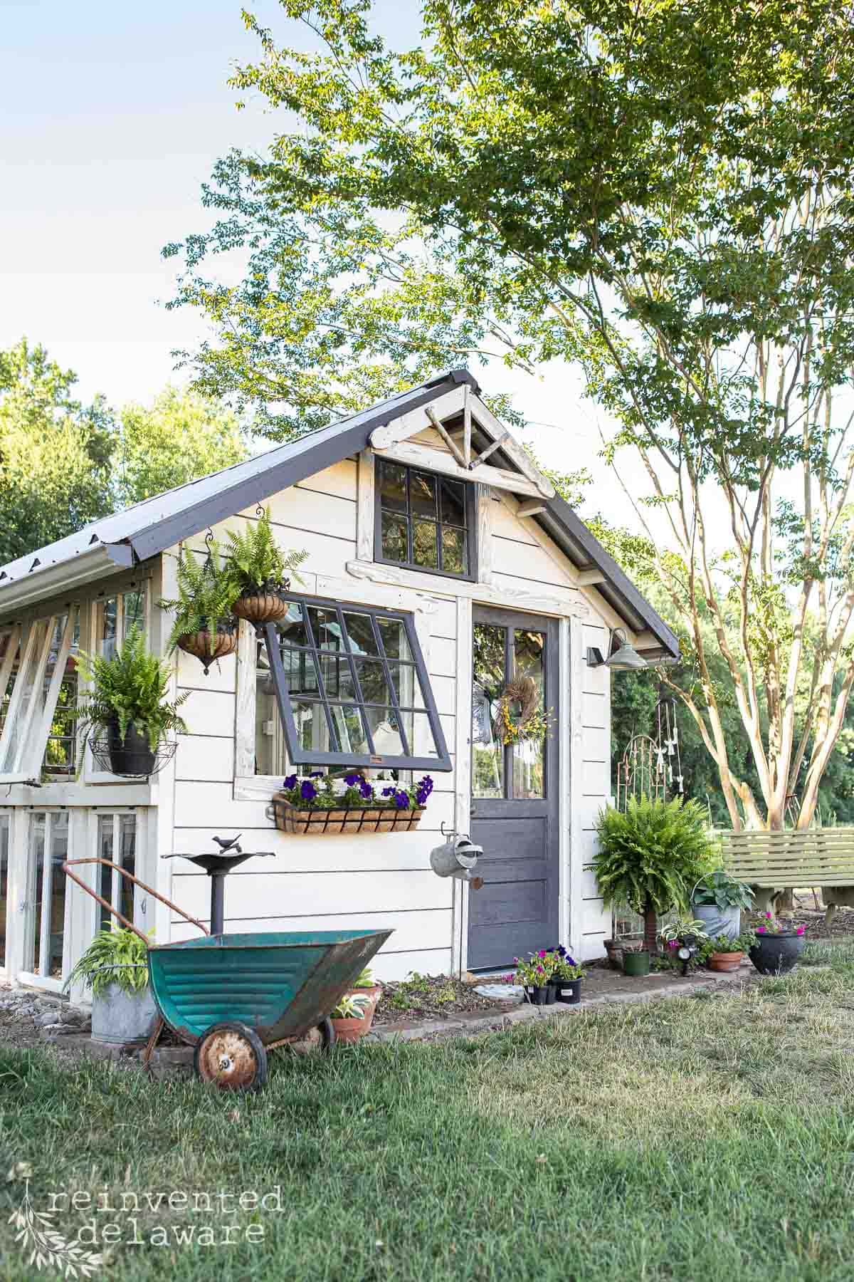 Garden she shed with large windows and potted plants, surrounded by greenery.