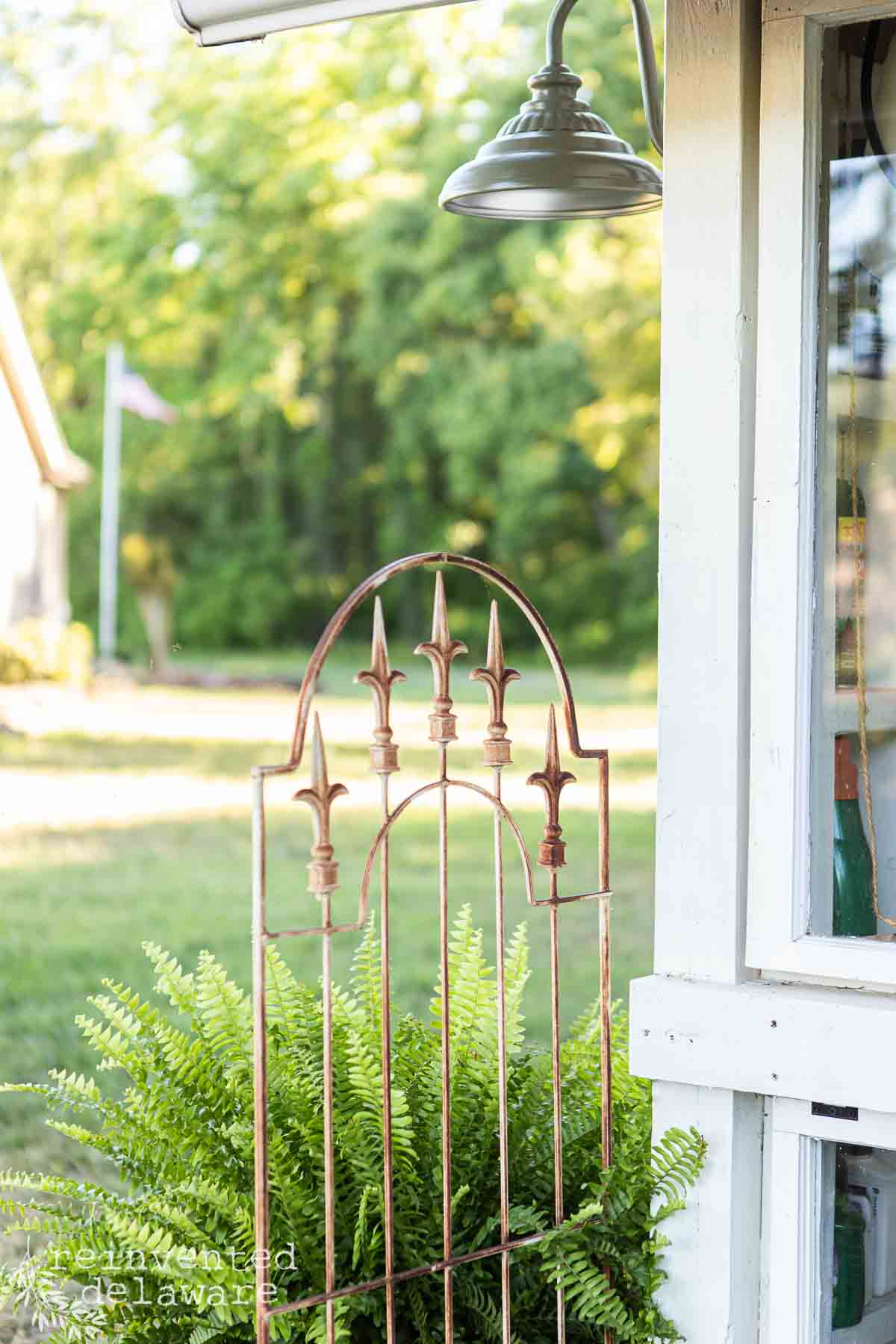 Vintage iron garden gate surrounded by lush green ferns outdoors.