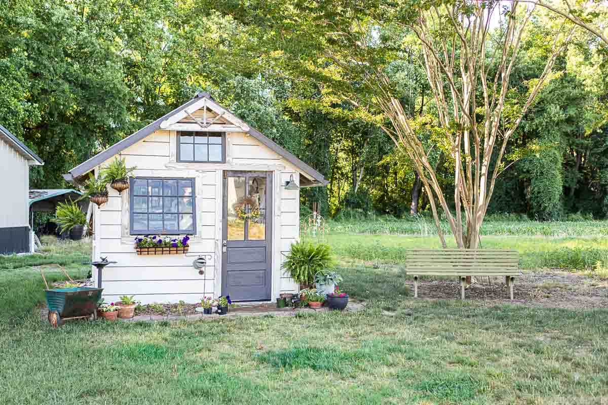 Garden shed with white exterior and dark gray door in a lush, green backyard setting.